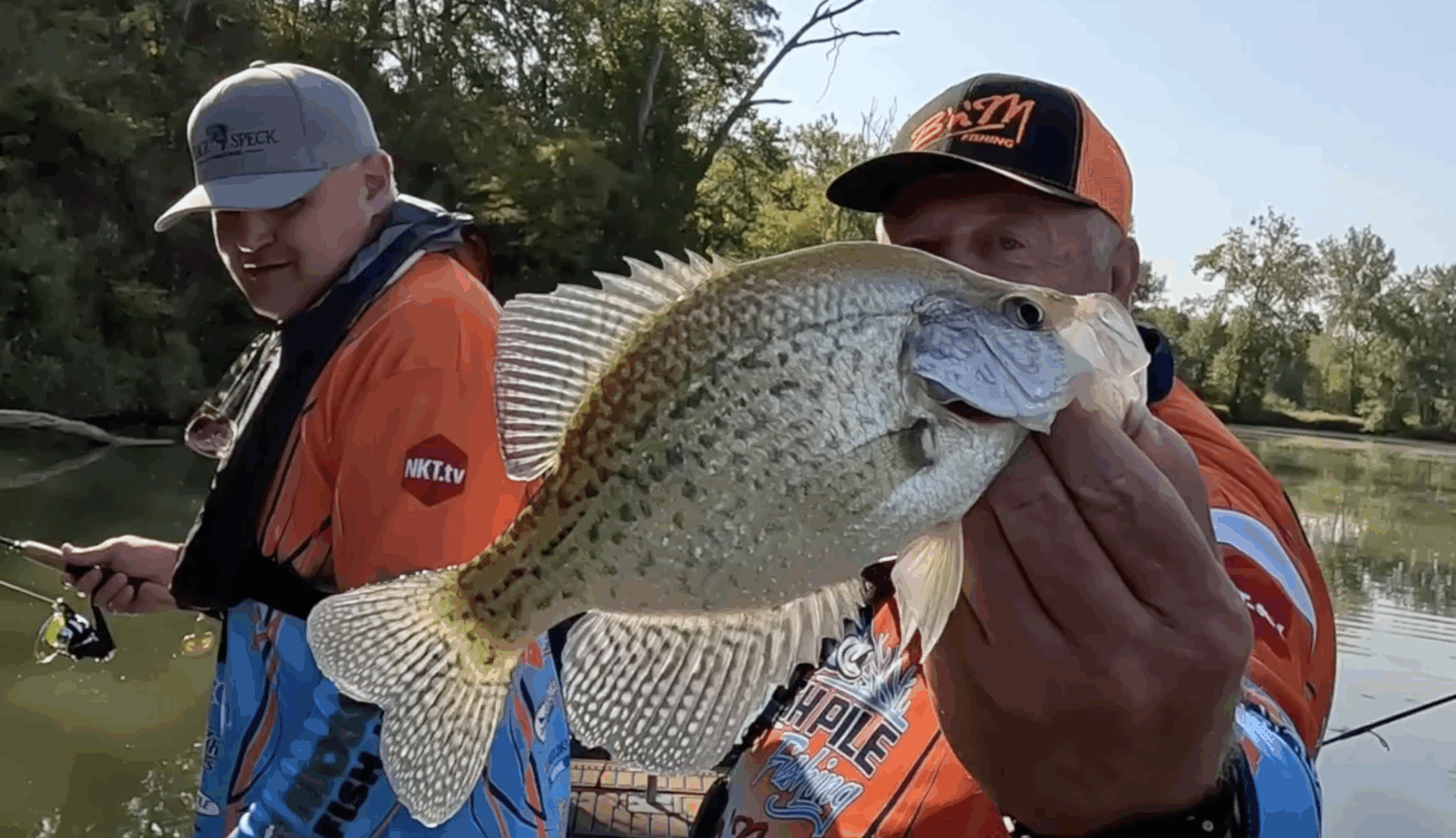 thumbnail image 2 of BnM Sam Heaton Super Sensitive Crappie Fishing Pole - IM6 9' SHSS92 - B'N'M Rods 2 of 6